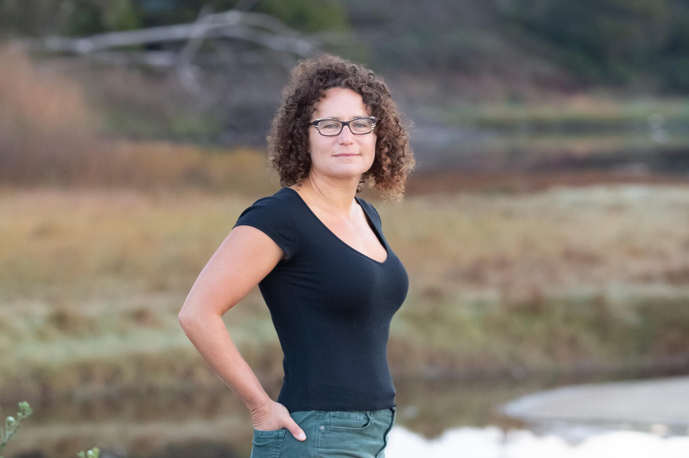 Nina Simon - landscape